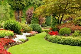 Fall Lawn & Landscape Prep in Texas 5 page1 img8