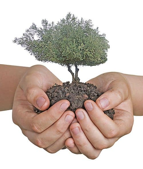 Winter Landscaping Specials 19 Winter Specials 2016