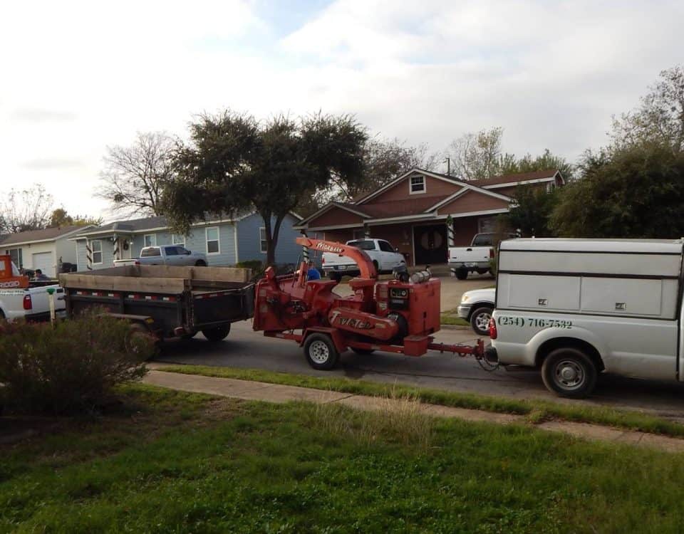 Had a large old Ligustrum 'shrub' that turned into a tree that was blocking too ... 13 15325379 1296861550334132 1117509969820214416 o