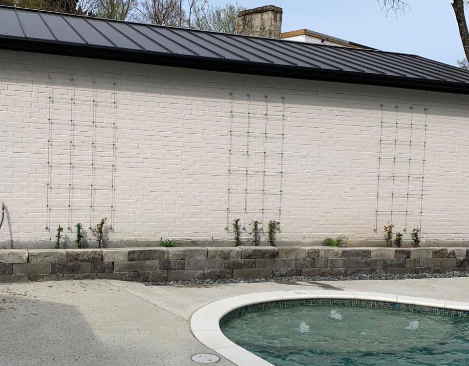 Blank wall solutions 13 54516922 2335726403114303 6741034781200351232 o