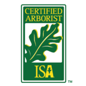 Certified Arborist