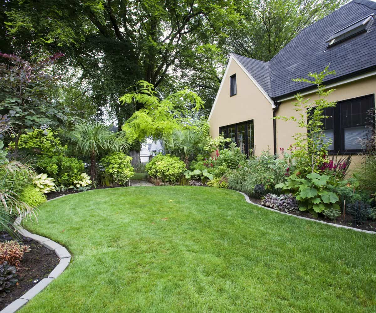Essential Components of Landscape Design 6 Home landscaping
